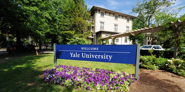 New Haven, Connecticut, USA - July 25, 2016: Welcome to Yale University sign located along Trumbull Street in New Haven, Connecticut. Photograph taken with purple flowers blooming under sign.