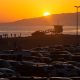 Could California Switch to Permanent Daylight Saving Time?