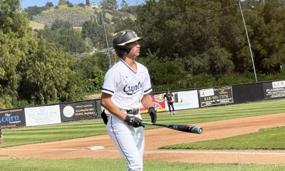 Calabasas baseball is rising behind Phoenix Call