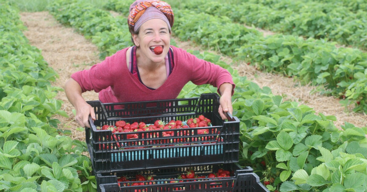 Got a green thumb? Dig into Kansas City’s community gardens and urban farms