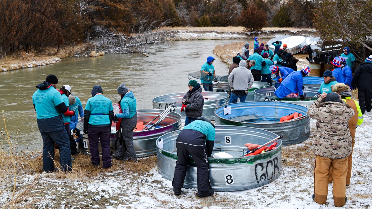 Cattle-Tank Paddling: the Raucous Nebraska River Race Where Everybody Wins