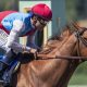 Second-time starter Taiba pulls off shocker with Santa Anita Derby win