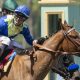 Umberto Rispoli says goodbye to Southern California by winning Santa Anita Oaks