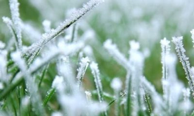 MD Weather: Frost Advisory Issued For Monday Morning