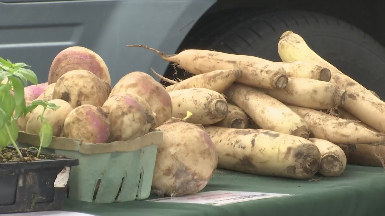 Illinois state law will allow home cooks to sell their food at festivals, online