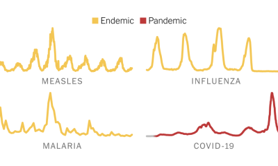 Is This What Endemic Disease Looks Like?