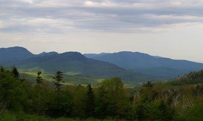 Increased visitorship in New England national forests leads to increased stresses on landscape