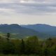 Increased visitorship in New England national forests leads to increased stresses on landscape