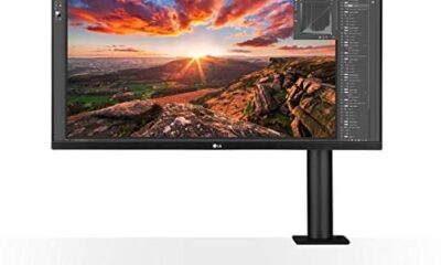 LG 32UN880-B 32″ UltraFine Display Ergo UHD 4K IPS Display with HDR 10 Compatibility and USB Type-C Connectivity, Black