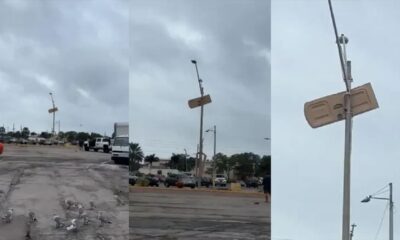 Florida storms send porta-potty door flying, impales into a light pole: ‘National flag of Florida’