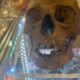 Grim discovery: Human skull found inside Florida thrift store