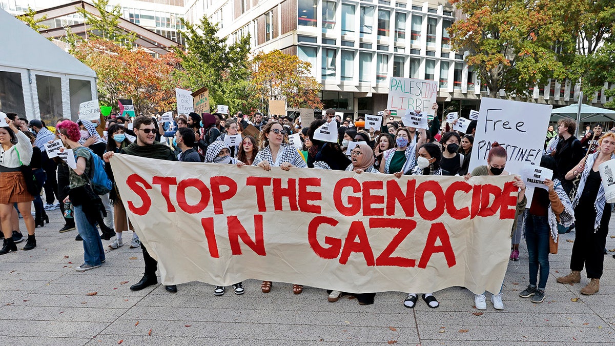 Harvard protesters hold a sign saying 'Stop the Genocide in Gaza'