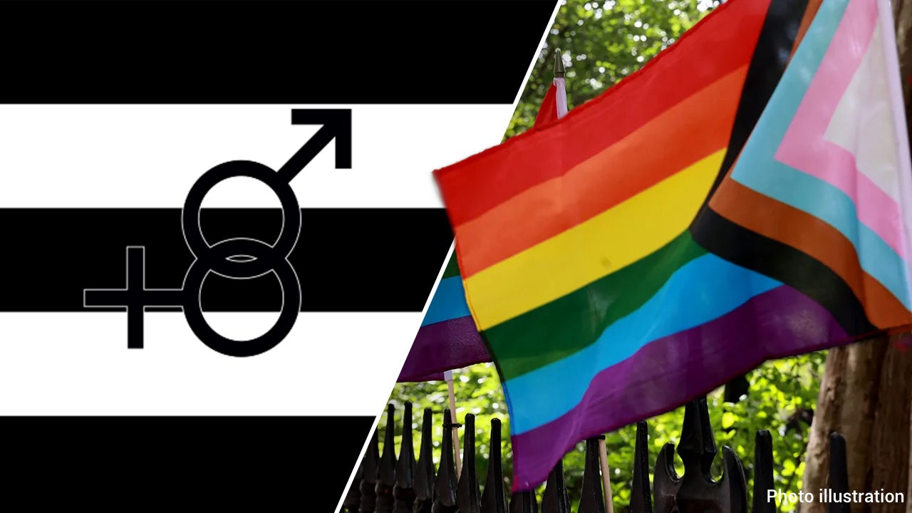 Father sues school district for refusing to display straight pride flag alongside Progress Pride flag