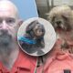 Shih Tzu rescued from dumpster after Florida man allegedly tied rope around her neck, stuffed in trash bag