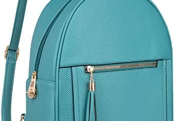 Montana West Small Backpack Purse for Women Anti Theft Backpack with Secured Zipper & Tassel