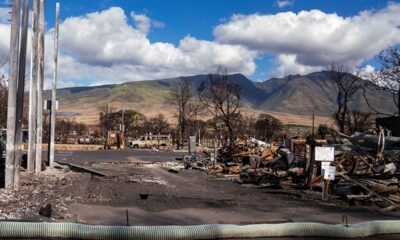 California law students provide pro bono help to struggling Maui residents after wildfires