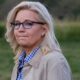 Liz Cheney calls on New Hampshire voters to fight 'plague of cowardice' in Republican Party