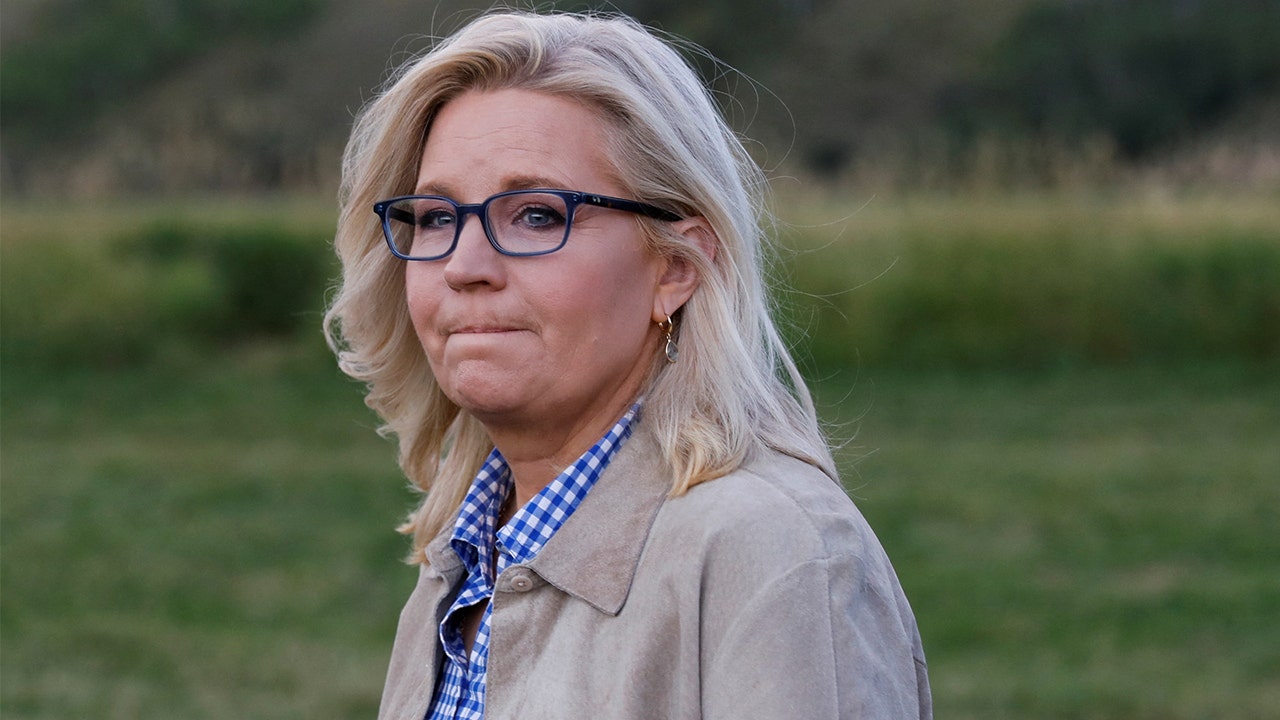 Liz Cheney calls on New Hampshire voters to fight 'plague of cowardice' in Republican Party