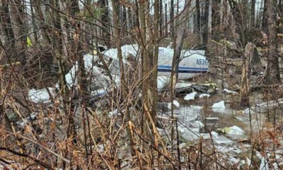 Pilot miraculously survives plane crash near New Hampshire home