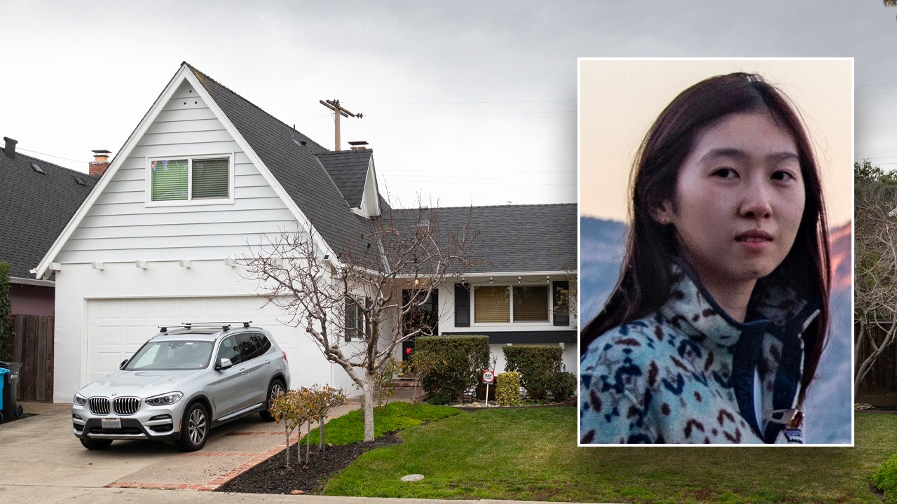 Google engineer accused in wife's murder sat ‘quiet and staring blankly’ before brutal beating: court docs