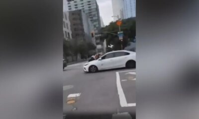 Video shows woman clutching onto hood of car after thieves allegedly stole her French Bulldog