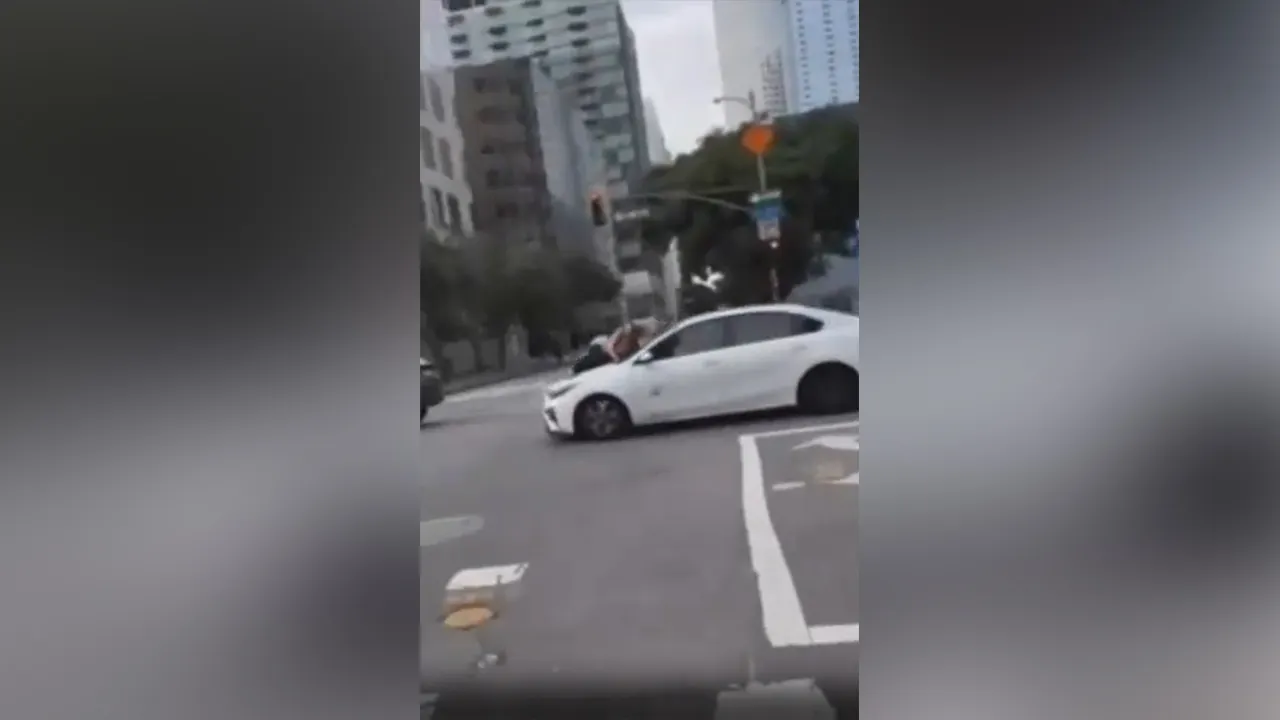 Video shows woman clutching onto hood of car after thieves allegedly stole her French Bulldog