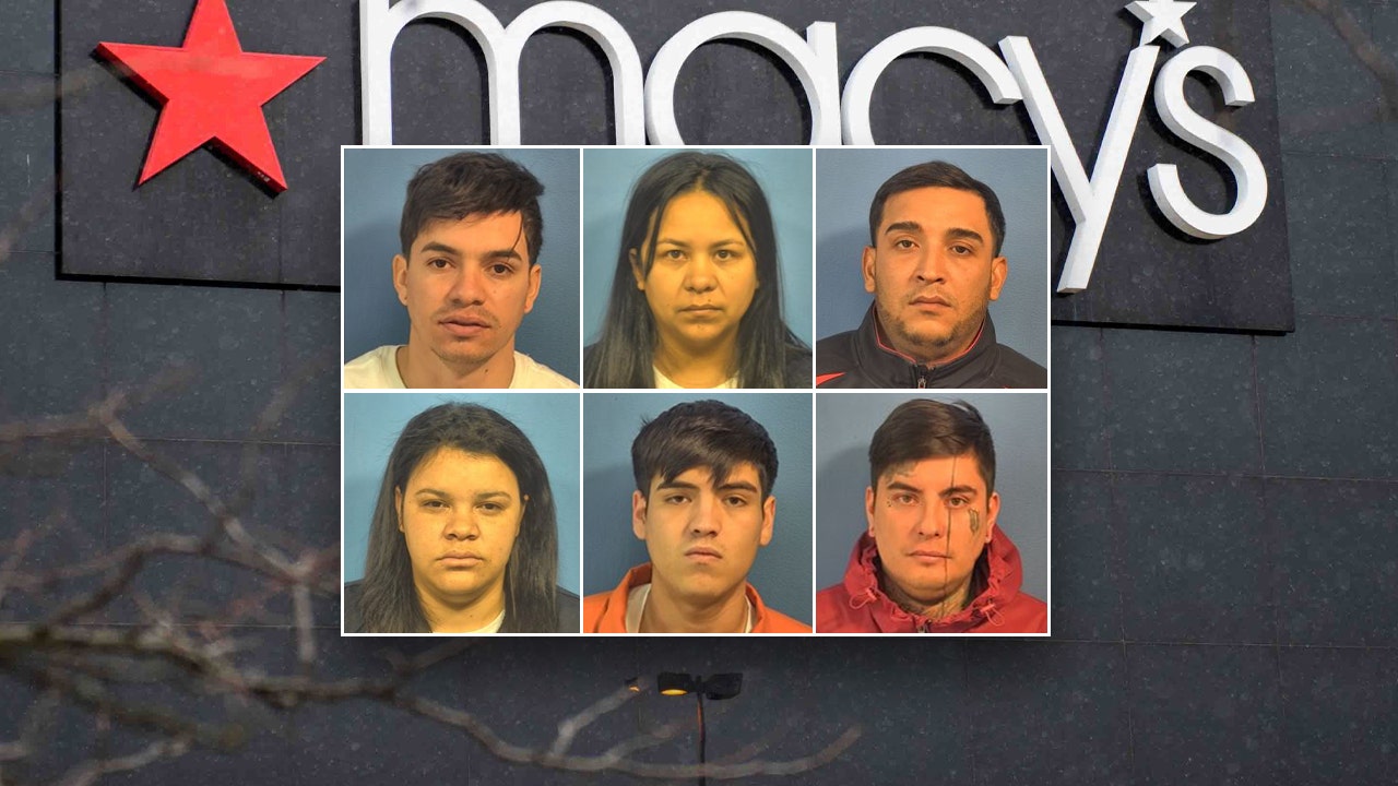 Migrant crime a 'real problem' in Chicago suburb after six more charged in Macy's retail thefts: police chief