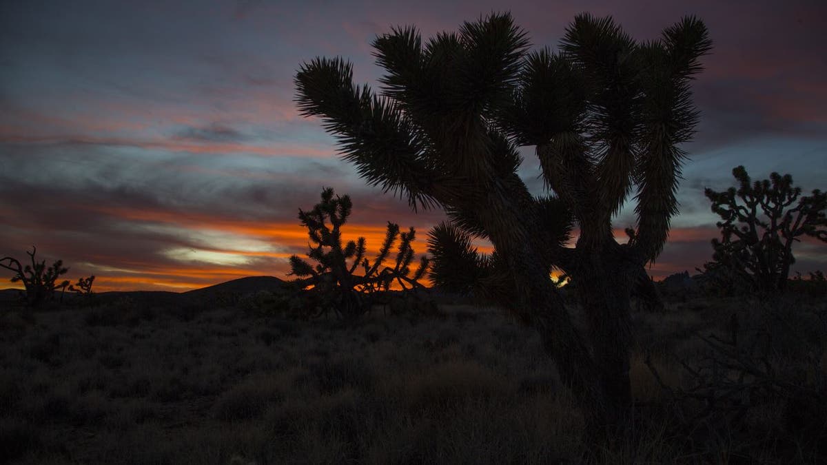 Mojave Desert at dusk