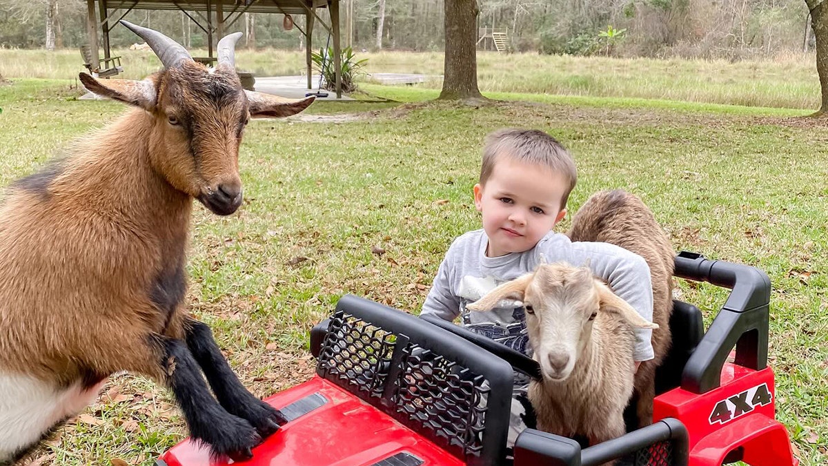 Bryan with goats