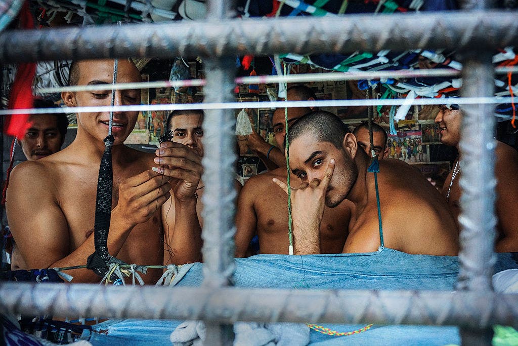 FBI fears Venezuela migrant gang members could potentially team up with MS-13 killers