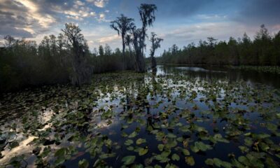 Plans for mine near Georgia wildlife refuge proceed, environmentalists call it a 'death warrant'