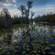 Plans for mine near Georgia wildlife refuge proceed, environmentalists call it a 'death warrant'