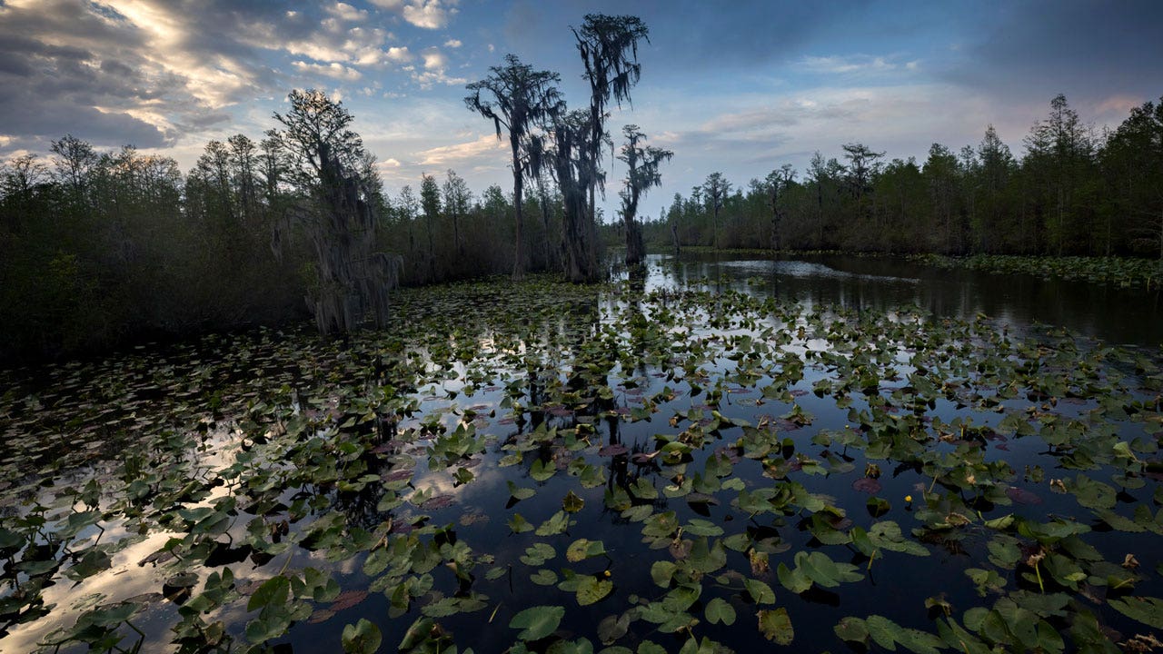 Plans for mine near Georgia wildlife refuge proceed, environmentalists call it a 'death warrant'