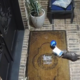 Opossum 'porch pirate' steals box of 15-year-old's birthday cookies, video shows