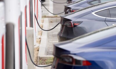 California EV sales see first decline in a decade: report