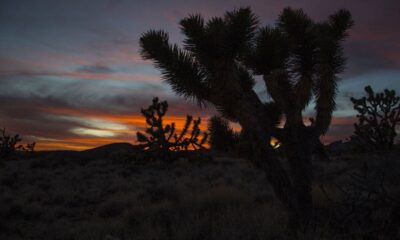 6 people presumed dead after helicopter crashes in California's Mojave Desert en route to Las Vegas area