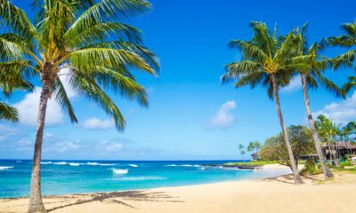 Best US beaches to visit in 2024, according to Tripadvisor reviews: See which sandy spots made the list