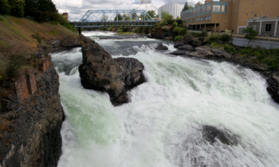 Thousands of fish found dead in Spokane River. No one knows why