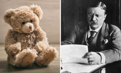 On this day in history, February 15, 1903, the first Teddy bear goes on sale