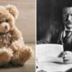 On this day in history, February 15, 1903, the first Teddy bear goes on sale