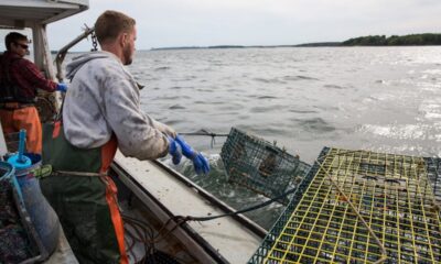 Here's how activists use lobstermen as bait to endanger Maine industry, communities