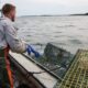 Here's how activists use lobstermen as bait to endanger Maine industry, communities