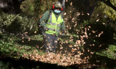 Portland considers banning gas-powered leaf blowers to assuage climate concerns