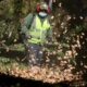 Portland considers banning gas-powered leaf blowers to assuage climate concerns