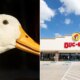 Man banned from Buc-ee's after bringing his service duck inside Tennessee store