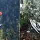 California family survives small plane crash after aircraft deploys parachute