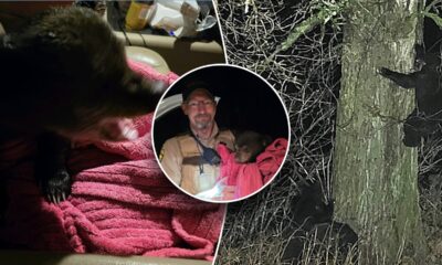 Minnesota deputy and good Samaritan rescue bear cub from highway