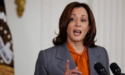 Focus group of voters offer ‘brutal’ take of VP Harris: Not ‘someone I want running my country’