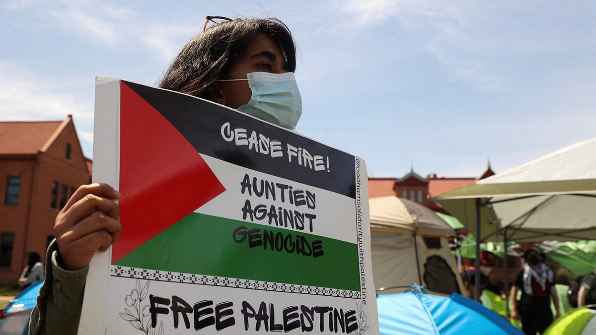 A protester, Palestinian flag
