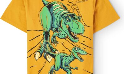 The Children’s Place baby boys Geometric Dino Short Sleeve Graphic T shirt